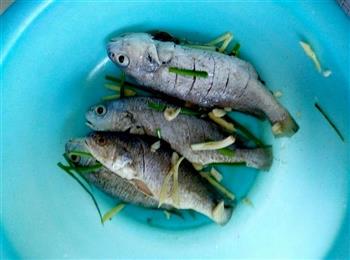香煎黄花鱼—儿童营养餐的做法步骤4