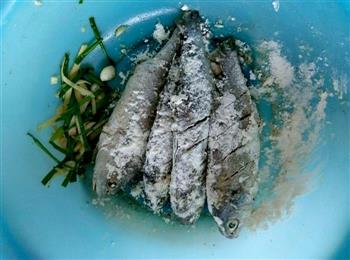 香煎黄花鱼—儿童营养餐的做法步骤5