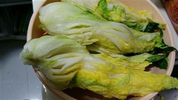 韩国辣白菜的做法图解2