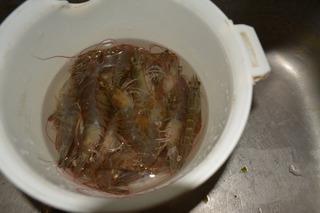麻辣干锅虾的做法步骤1