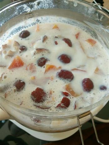 红枣木瓜炖牛奶的做法步骤3