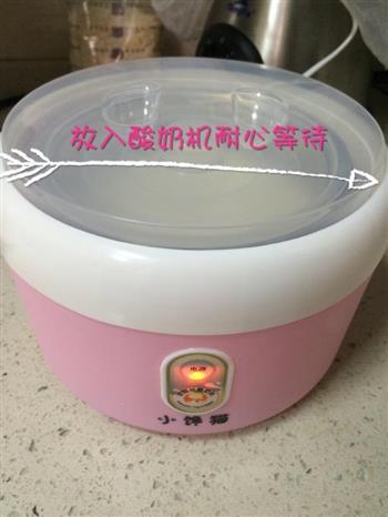自制蜂蜜酸奶的做法步骤5