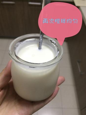 自制蜂蜜酸奶的做法步骤8