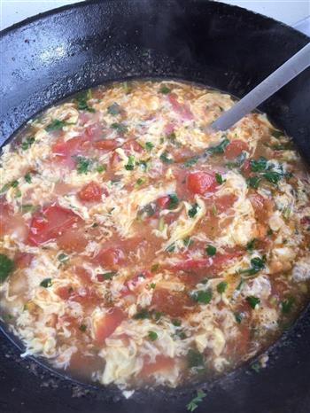 简单易消化-番茄疙瘩汤的做法步骤5