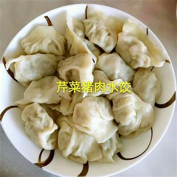 芹菜猪肉东北大水饺的做法步骤10