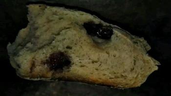 黑糖蔓越莓牛奶面包的做法步骤6
