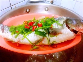 减肥养生餐-清蒸鲤鱼的做法步骤5