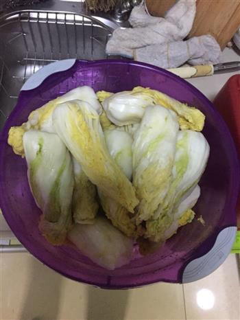 韩式泡菜 辣白菜的做法步骤3