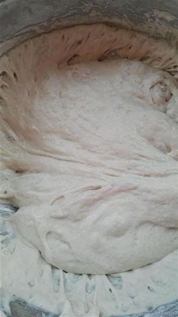 传承传统发酵方式一一老面馒头、电烤饼的做法步骤3
