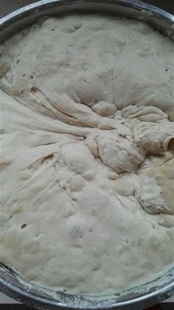 传承传统发酵方式一一老面馒头、电烤饼的做法步骤8