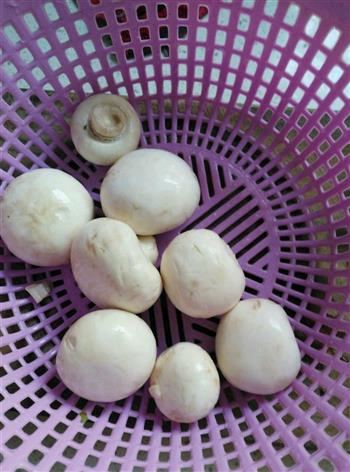 彩椒炒口蘑的做法步骤1