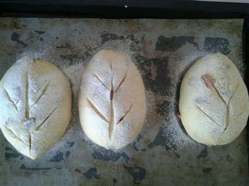 枸枣养生面包的做法图解9