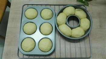 黄金南瓜小餐包的做法步骤10