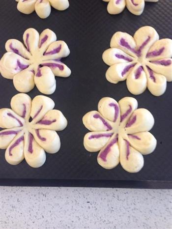 花形紫薯包的做法步骤6