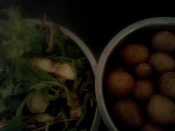 小土豆芹菜根的做法步骤1
