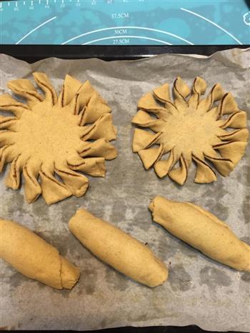 葵花形豆沙面包的做法步骤3