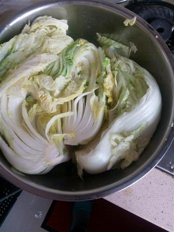 韩国泡菜 辣白菜 腌萝卜的做法步骤1