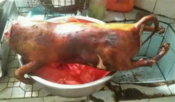 粤式炆狗肉的做法图解1