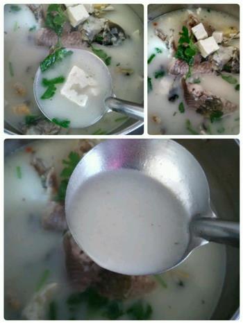 奶白鲫鱼豆腐汤的做法步骤10