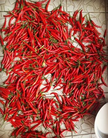 湖南剁辣椒的做法步骤1