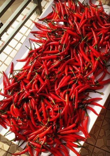 湖南剁辣椒的做法步骤3