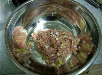 猪肉白菜锅贴饺子的做法图解1