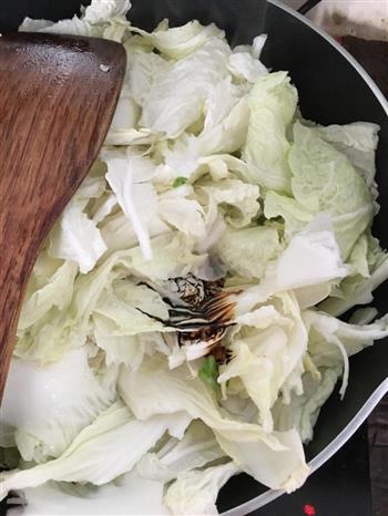 东北白菜炖冻豆腐粉丝的做法步骤5