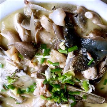 蘑菇鱼头汤的做法图解5