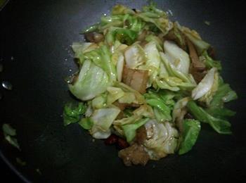 干锅包菜的做法步骤7