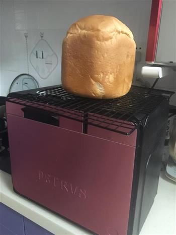 面包机—原味吐司的做法步骤1