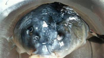 天麻炖鱼头汤的做法图解2