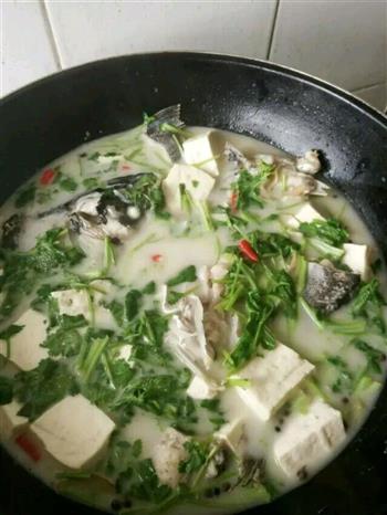 豆腐炖鱼汤的做法步骤3