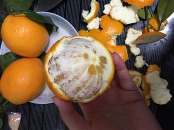 鲜榨脐橙汁的做法图解3