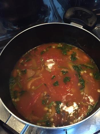 西红柿牛腩汤的做法步骤1