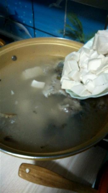 奶白鲫鱼豆腐汤的做法步骤6
