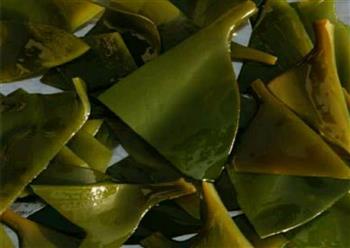 海带冬瓜排骨汤的做法图解1