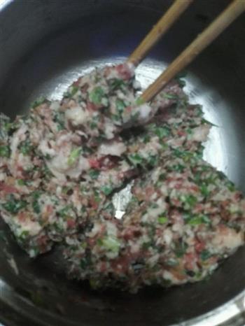 韭菜猪肉饺子-自制饺子皮的做法步骤2
