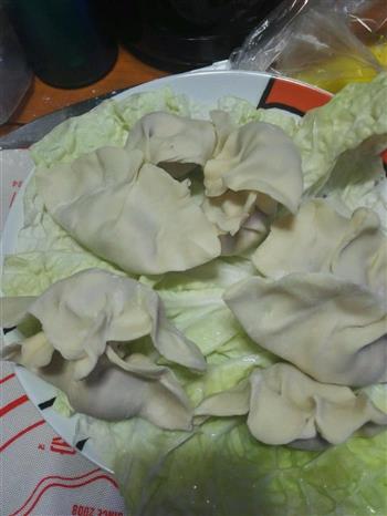 韭菜猪肉饺子-自制饺子皮的做法步骤3