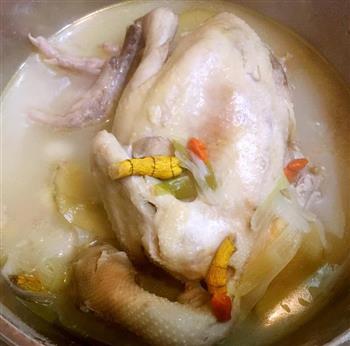 天然铁皮石斛炖鸡汤的做法步骤5