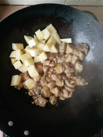 土豆烧鸡块的做法步骤5