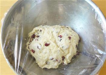 新手烘焙-免揉蔓越莓面包/5分钟懒人软面包的做法步骤4