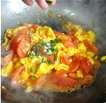 家常番茄炒蛋的做法步骤4