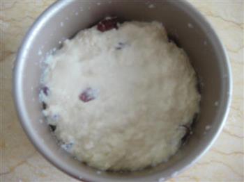 牛奶蔓越莓红枣发糕的做法步骤5