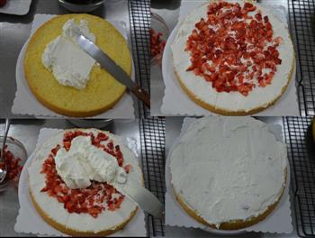 双层水果奶油生日蛋糕的做法步骤14