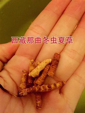 冬虫夏草红豆黄豆藏青果养生粥的做法步骤2