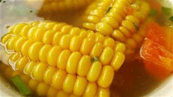 玉米炖排骨的做法步骤8