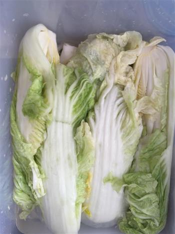 朝鲜族地道家庭版腌辣白菜的做法图解5