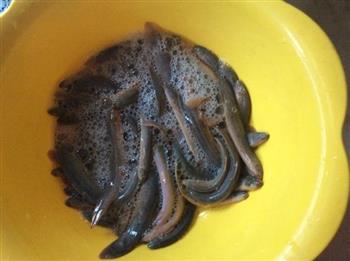泥鳅炖菜头的做法步骤1
