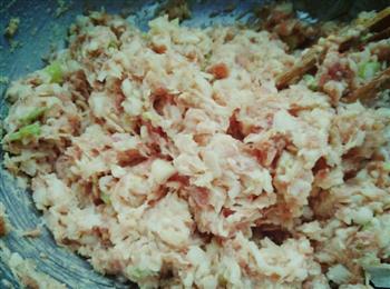家的味道-猪肉白菜饺子的做法步骤5