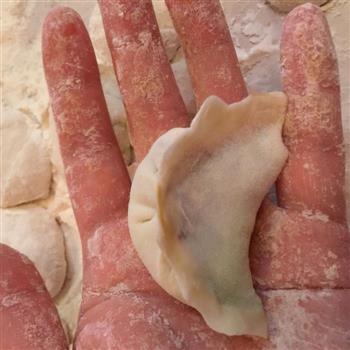 猪肉茴香饺子的做法图解5